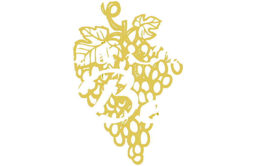Pierre et Frédéric Becht